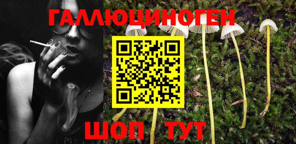 Галлюциногенные грибы Psilocybe  Псилоцибиновые грибы ЛСД  Вход с VPN  Благодарный 